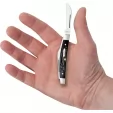 Case Cutlery Small Congress Rough Black CA18238