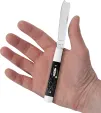 Case Cutlery Razor Black Synthetic CA18239