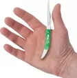 Case Toothpick Emerald Green CA19941
