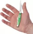 Case Stockman Emerald Green CA19942