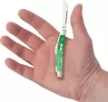 Case Small Congress Emerald Green CA19945