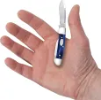 Case Cutlery Baby Butterbean Pearl Kirinite CA23449