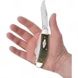 Case Sowbelly Green Micarta CA23474