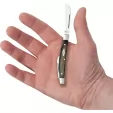 Case Cutlery Small Congress Micarta CA23477