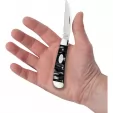 Case Sway Back Black Pearl Kirinite CA23675