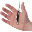 Case Cutlery Small Congress Black Micarta CA27821