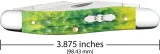 Case Cutlery Muskrat Green Apple CA27866