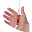 Case Cutlery Toothpick Chestnut Bone CA28910