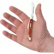 Case Cutlery Small Congress Chestnut CA28911