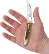 Case Cutlery Seahorse Whittler Amber Bone CA30094