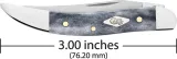 Case Cutlery Gray Bone  Smooth Small Texas CA34204