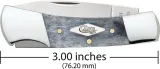 Case Cutlery Lockback Gray Bone CA34205