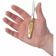 Case Half Whittler Burnt Cream CA36723