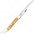 Case Toothpick Burnt Cream CA36724