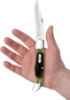 Case Cutlery Folding Hunter Olive Green CA39234