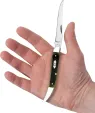Case Cutlery Toothpick Olive Green CA39235