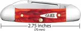 Case Cutlery Baby Butterbean Indian Paint CA42322