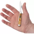 Case Swell Center Jack Yellow Curly CA47129