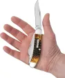 Case Cutlery Sowbelly Burnt Amber CA51393