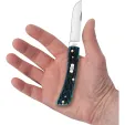Case Cutlery Sod Buster Jr Mediterranean CA51854