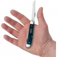 Case Mini Trapper Mediterranean CA52803