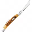 Case Small Congress Antique Bone CA52851