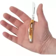 Case Small Congress Antique Bone CA52851