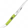 Case Medium Toothpick Green Apple CA53031