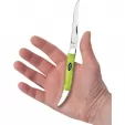 Case Medium Toothpick Green Apple CA53031