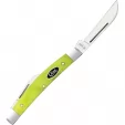 Case Small Congress Green Apple CA53032