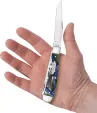 Case Cutlery Trapper Pacific Tides CA53810