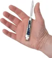 Case Cutlery Baby Doc Pacific Tides CA53816