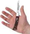 Case Cutlery Cheetah Cub Mahogany Bone Corn CA55237 Case Cutlery Cheetah Cub Mahogany Bone Corn CA55237
