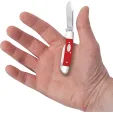 Case Cutlery Baby Butterbean Red Synthetic CA56985