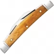 Case Small Congress Antique Bone CA58209