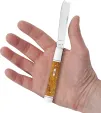 Case Cutlery Razor Antique Bone CA58211
