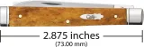 Case Cutlery Baby Doc Antique Bone CA58213