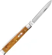 Case Cutlery Baby Doc Antique Bone CA58213