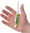 Case Cutlery Lime Green Bone  Barnboard Ji CA61041