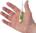 Case Cutlery Lime Green Bone  Barnboard Ji CA61046