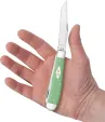 Case Cutlery Trapper Mint Green CA63830