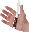 Case Cutlery Razor Brown Maple Burl CA64058