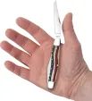 Case Cutlery Star Spangled Series  Emb Sm CA64143