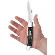 Case Cutlery Folding Hunter Buffalo CA65030