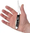 Case Cutlery Muskrat Buffalo Horn CA65032