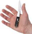 Case Cutlery Barlow Buffalo Horn CA65033