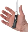 Case Cutlery Axe Handle Buffalo Horn CA65034 Case Cutlery Axe Handle Buffalo Horn CA65034
