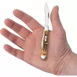 Case Swell Center Jack 6.5 Bonestag CA65326