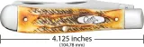 Case Cutlery Trapper 6.5 Bonestag CA65345