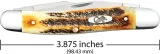 Case Cutlery Muskrat 6.5 Bonestag CA65346